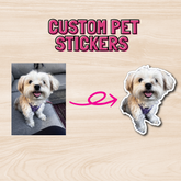 custom pet photo stickers text with a realistic photograph of a dog beside a dog sticker
